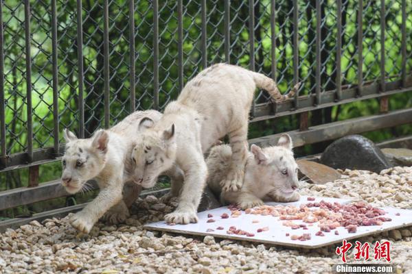 绿色贸易新政催;化行业变革 中国天楹构建全球绿色能源竞争新生态
