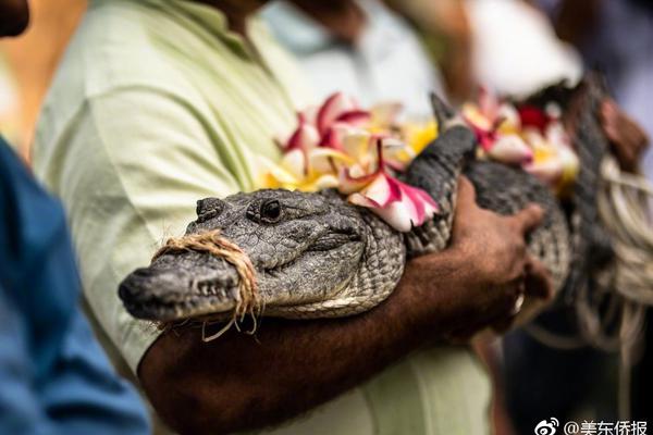 S—佳通拟每股派息0.28元