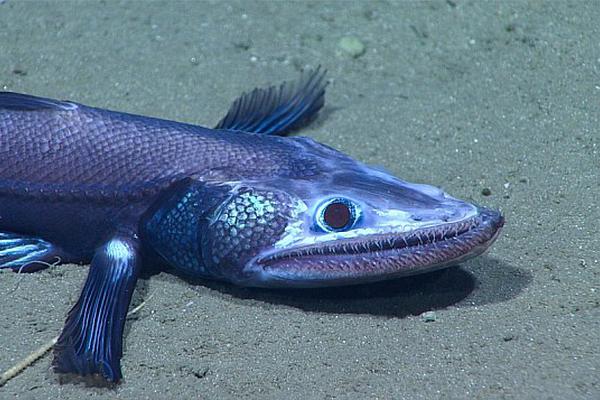 剑!桥科技涨停走出3连板