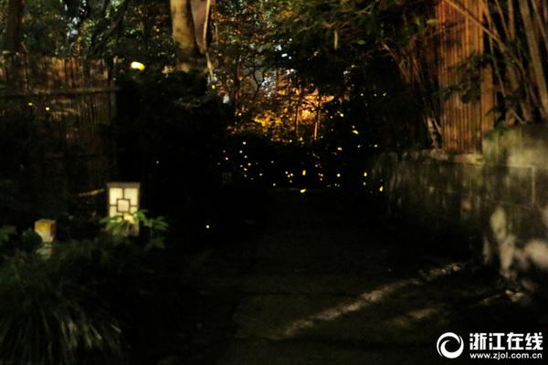 液冷服务器—彻底爆发！工业富联新高+海鸥4天3板