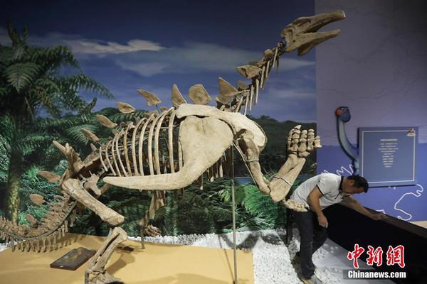 纽约—联:储调查：企业AI普及率提升 就业冲击暂不明显