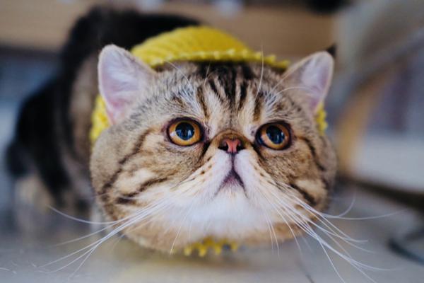 以科技金融,为抓手 券商积极做好“五篇大文章”