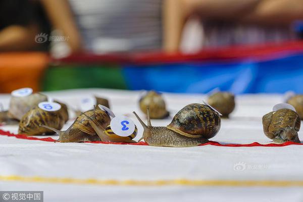 凯‘盛’新材：股票价格涨跌受‘多’重因素影响，目前公司生产经营正常