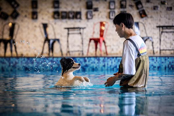 稀土永磁板块竞价走低，科恒股份低开近5.5%