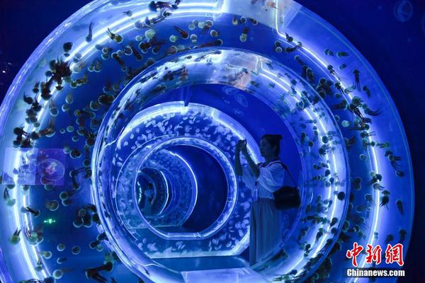 i!Phone 17上市初期在中美市场销量比前代高出14% 基础款机型人气大增