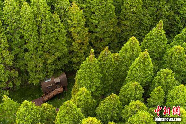 吉电股份：‘截’至2025年9月19日公司股东户数为154348户