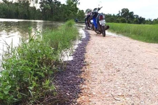 海,南机场：2025年前三季度实现营业收入32.80亿元，助力海南自贸港打造国际航空区域门户枢纽