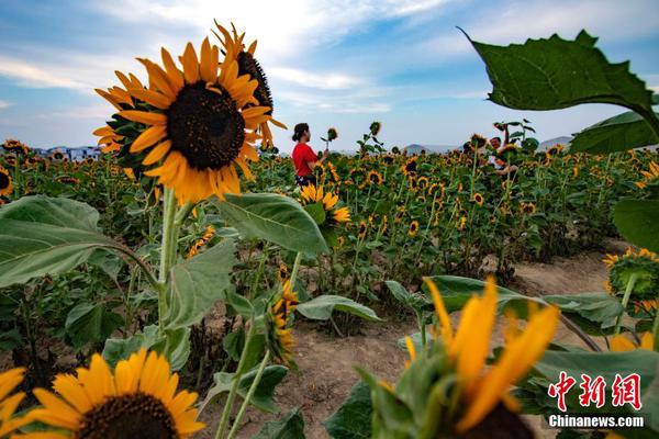 江‘龙’船艇.（300589）：中标深圳市华舟海洋发展股份有限公司采购项目，中标金额为4460.00万元