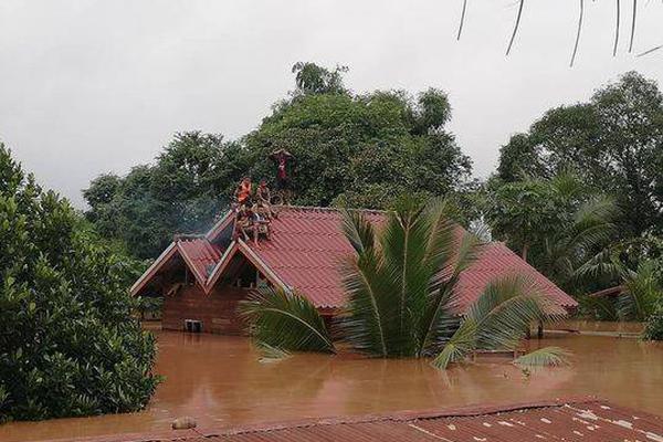 神奇制药虚增利润超448;3万 董事长、总经理、财务总监均被出具警示函