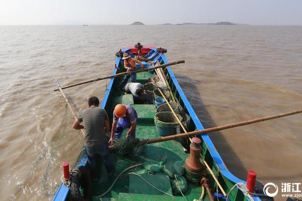 虚增利:润 1.2 亿、董监高几乎全员被罚：天圣制药财务造假手法核心解析