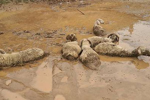 对话肖风：在香港稳定币的沸腾—时?刻，一些回归常识的冷思考（全文）