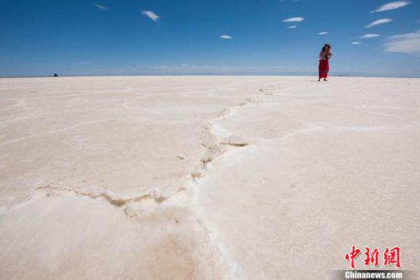 捷利交:易宝早盘涨超7% 拟折让约14.19%配股筹资