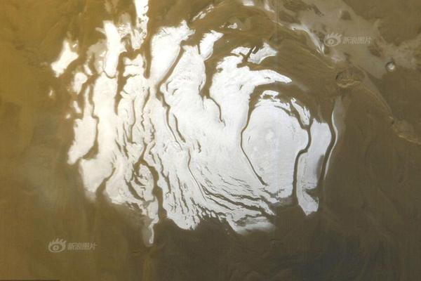 华光新材2025年:第三季度业绩说明会回应投资者关切 泰国工厂预计明年初投产