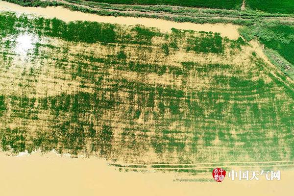 南宁百货：公司积极围—绕;主业探索多元化发展