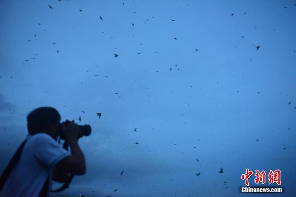 美国劳工?统计局称8月就业报告发布前数据库锁定属 “常规操作”