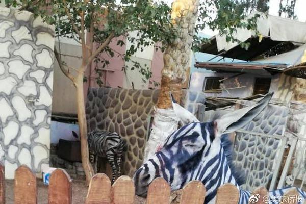 ET?F日报：十年期国债指数微涨0.03%，表现相对稳定，关注债市的逢低布局机会