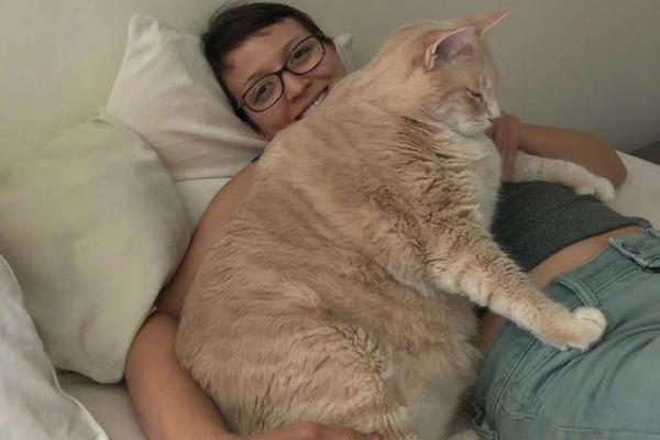 川仪—股份前三<季>度营收48.9亿元 积极拓展新市场新领域