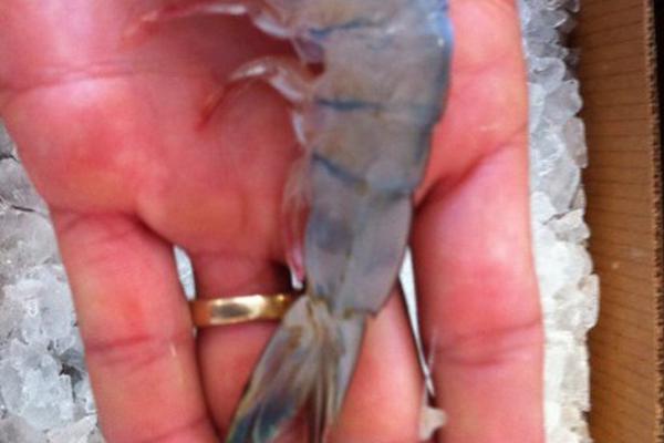 万润股:份：新能源电池用电解液添加剂的下游应用领域为锂离子电池产品