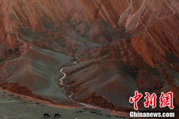 郴电.国际：拟投资设立合资公司建设光伏发电项目