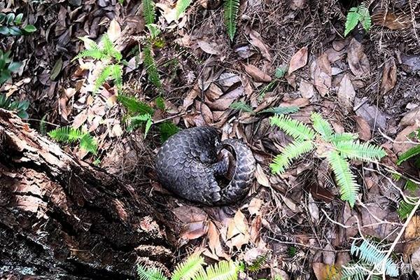 单季业绩加速:增长 沪市多家公司三季报显强劲动能