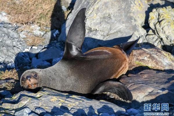 研发实力再<获>权威认可！易事特集团旗下爱迪贝克软件公司成功入选2025年创新型中小企业