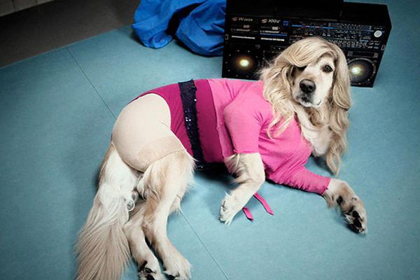 8?1岁老板一边狂赚1000亿成全球首富，一边公司大裁员！老员工自嘲：“我们被 GPU 替代了”