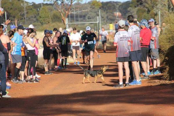 本月只剩1!0个交易日！掘金三季报窗口期，需要注意什么？