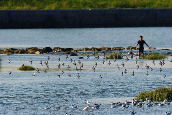 紫金矿‘业’加纳金矿<1>0亿美元收购价全部付清，但金矿并购战车未停