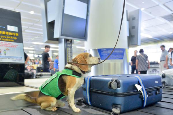 华为杨超斌：openEuler成中国操作系统首选 其性能已优于业界Linux发行版