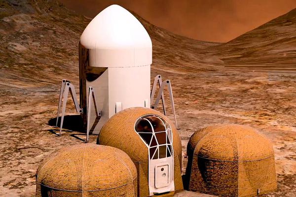 标<普>将LG电子评级展望上调至正面