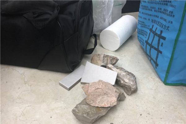 马.蔚华：全球经济治理格局重塑背景下中国碳市场与碳金融的发展