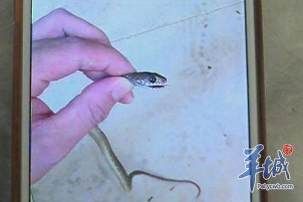 央行：11月5日开展7000亿元买断式逆回购操作