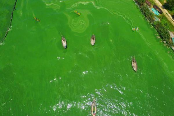 首开股份录得10,天9板