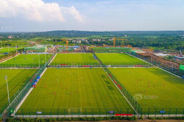 低空经济半.年报：政策风口下企业加速布局 市场需求转化仍待验证