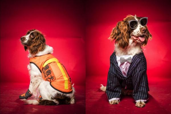 各—有各的理由 多家上市公司回购延期