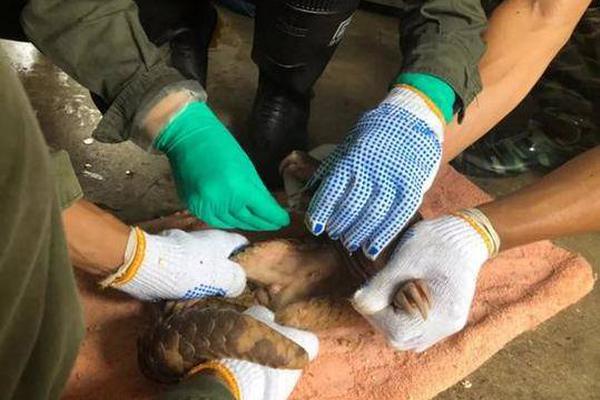 红太阳—：2025年限制性股票激励计划授予登记完成