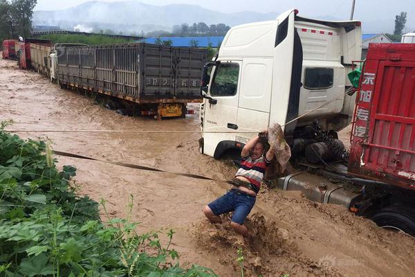 2025房地产企业;品牌价值50强揭晓  中海、保利发展和华润位居前三