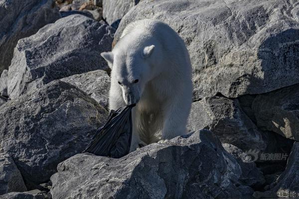 科技巨?头纷.纷投入资源吸引AI人才