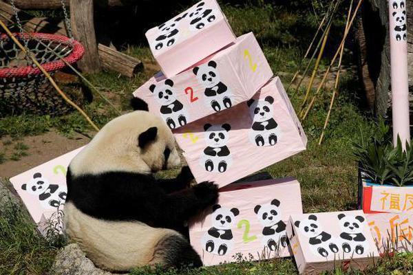 数字认证—：公司将积极通过聚;焦主责主业、强化科技创新不断提升经营质量