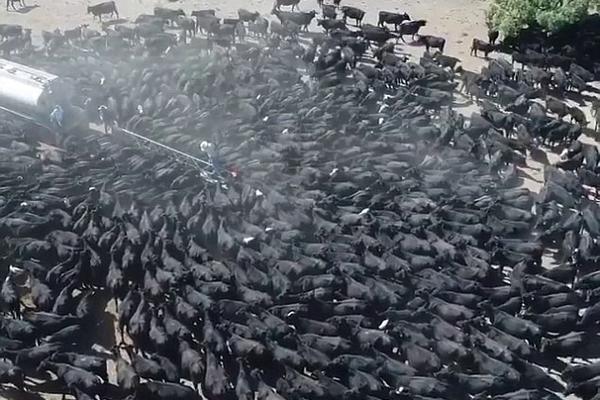 众多前财长<、>前联储主席联名上书最高法院 反对特朗普解雇美联储库克