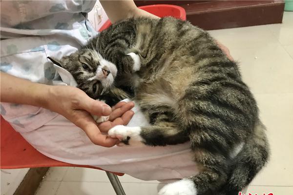 中信建投：港股:对A股的优势正在凸显