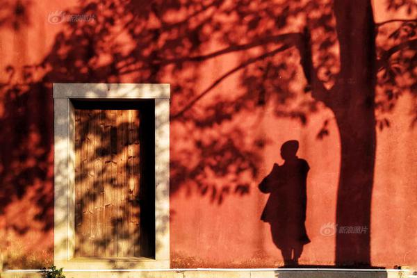 人民;同泰龙‘虎’榜数据（12月2日）