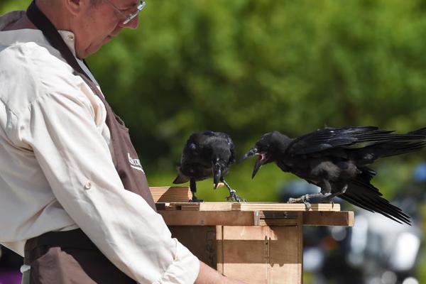 振华新材!：非独立董事吴勇—先生辞去董事等职务