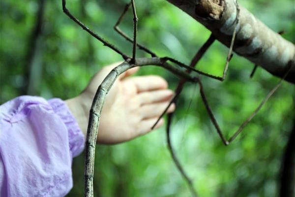 小米精英驾驶赛照培‘训’明日?开启报名：售 12999 元，仅 16 个席位