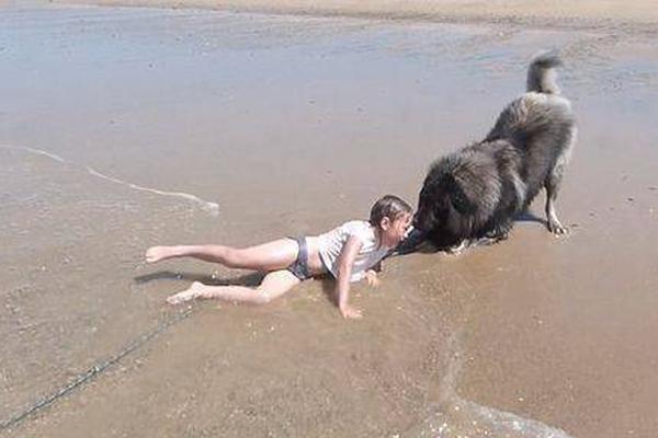 怎么看;煤!焦的强势行情？