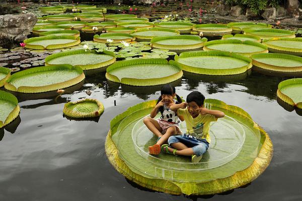 首<获>牌照！小红书电商告,别 “为他人做嫁衣”