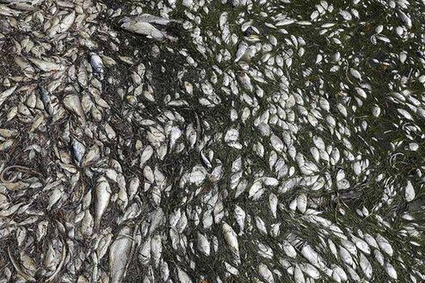 2?025《财富》可<持>续发展峰会在福州成功举办