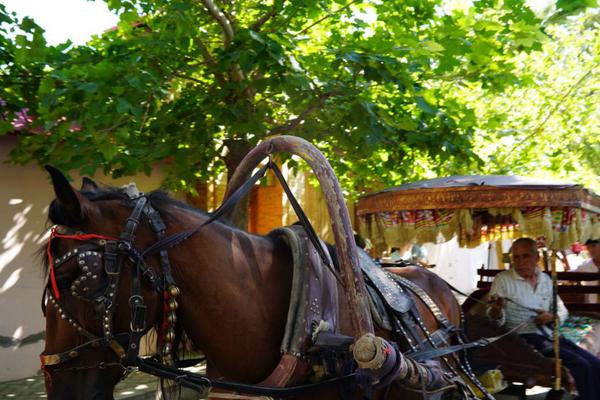 美国政府停摆结,束引发贵<金>属大涨！国际黄金大涨3%投行：明年看到5300！