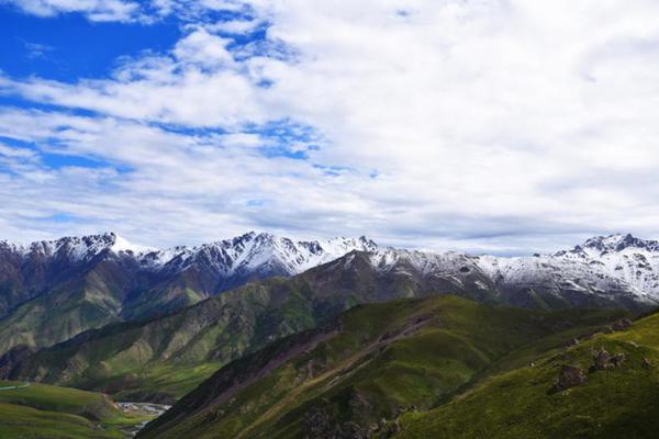 中兴通讯半.年报：营收715.5亿元，同比增长14.5%