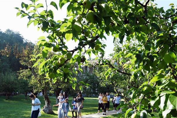 博彦科技携;手水木清华校友种子基金，为硬核科创项目搭台赋能